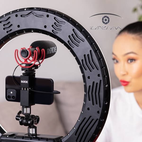 Mic thu âm Rode Videomic Go II