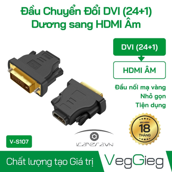 Đầu Chuyển Đổi DVI (24+1) Dương sang HDMI Âm - V-S107