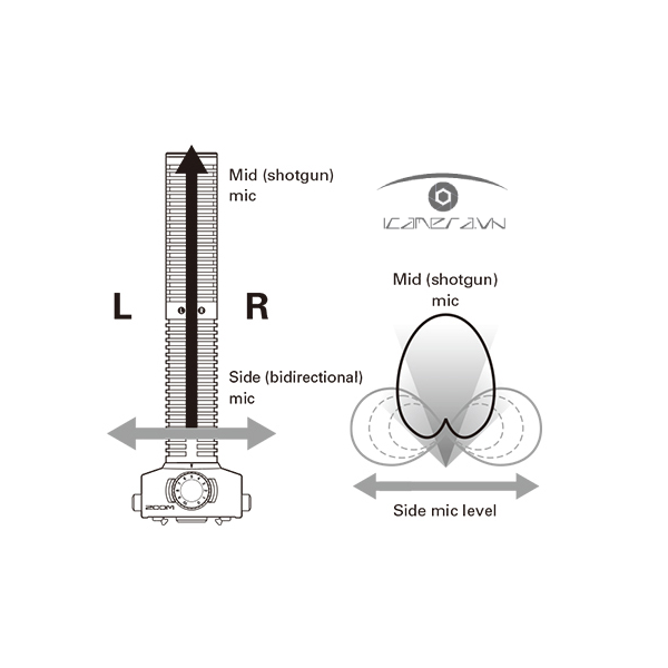 Micro thu âm Zoom SSH-6