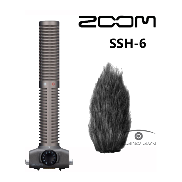 Micro thu âm Zoom SSH-6