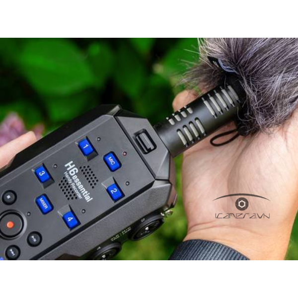 Micro thu âm Zoom SSH-6e
