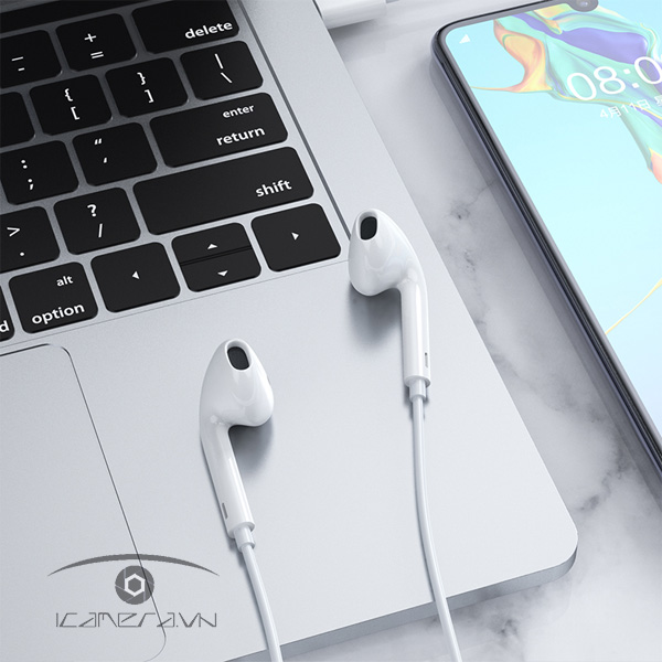 Tai nghe Type-C TP01 in-ear