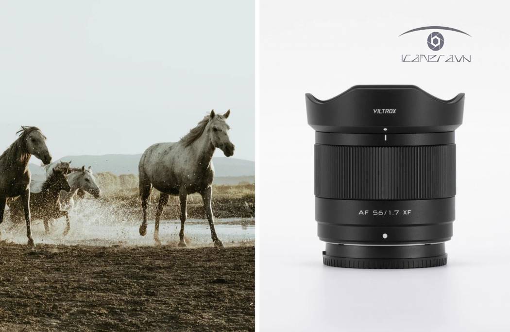 Ống kính AF Viltrox 56mm F1.7 XF For Fujifilm