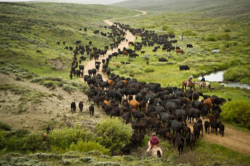 5 công việc trả lương cao ngất nhưng nhiều người không làm