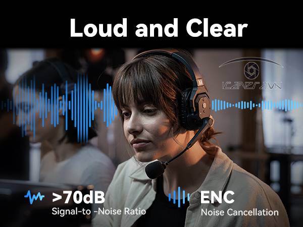 Bộ tai nghe không dây Hollyland Solidcom SE-2S