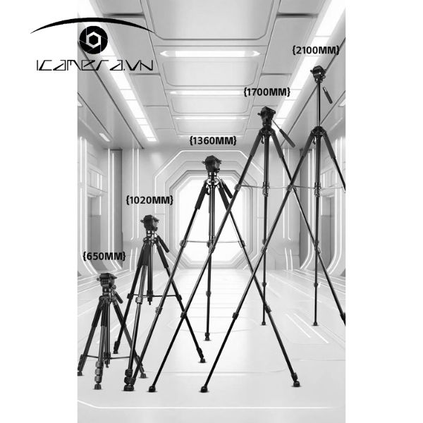Chân máy ảnh Tripod Beike QZSD Q333L