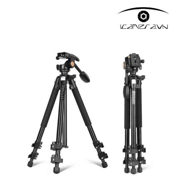 Chân máy ảnh Tripod Beike QZSD Q303