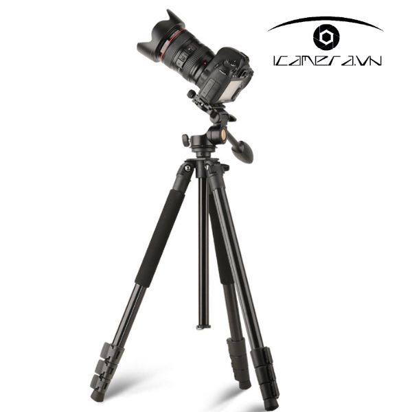 Chân máy ảnh Tripod Beike QZSD Q298L