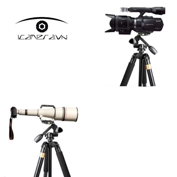 Chân máy ảnh Tripod Beike QZSD Q620