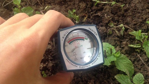 Bút đo ph và độ ẩm đất dm-15