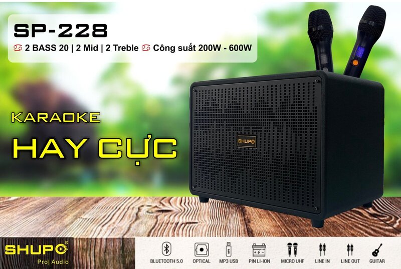 Tổng quan Loa Karaoke Xách Tay SHUPO SP-228