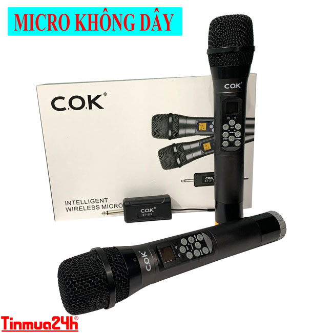 Micro Không Dây Cok St-213