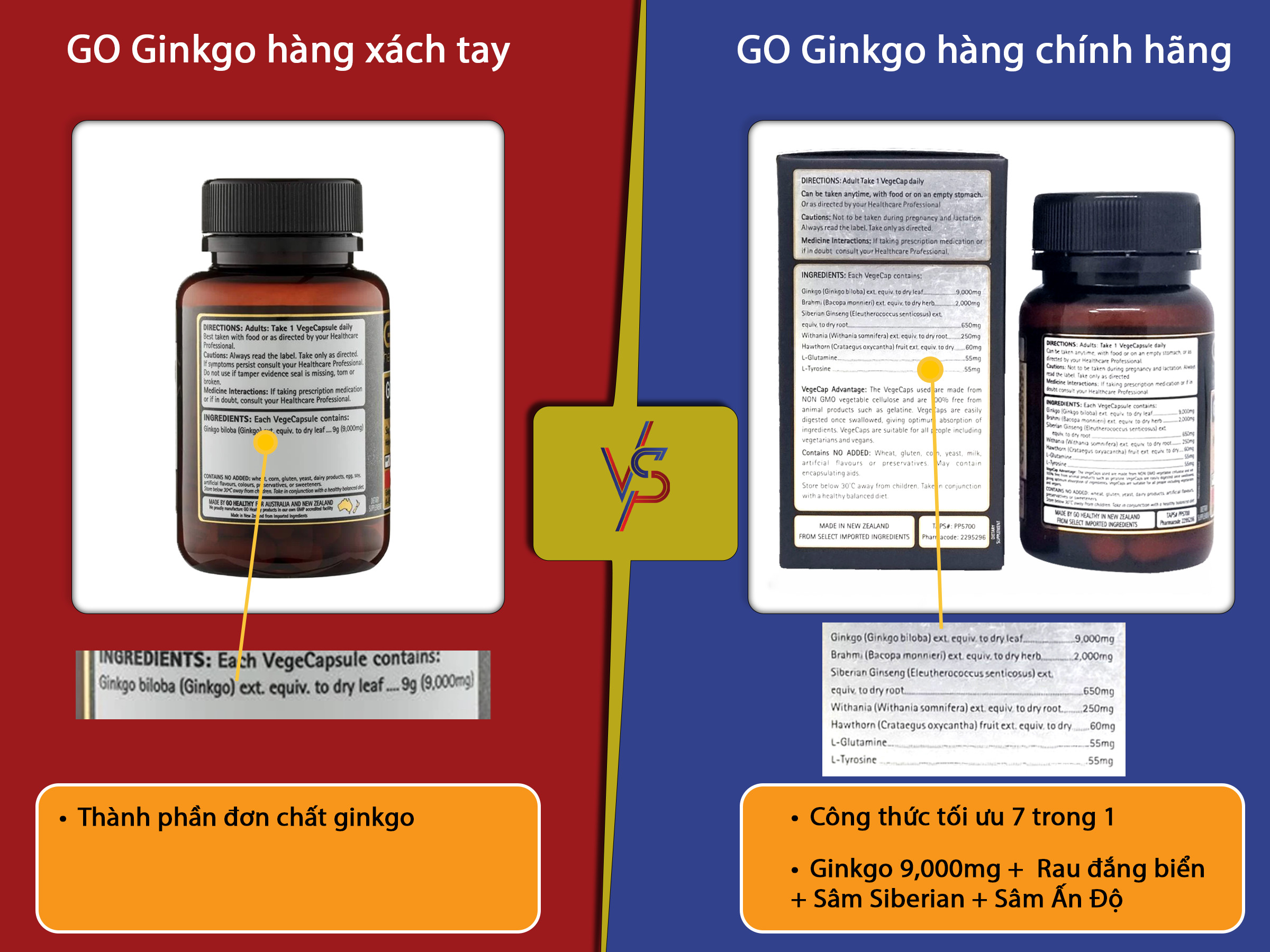 GO Ginkgo 9000+ nhập khẩu chính hãng