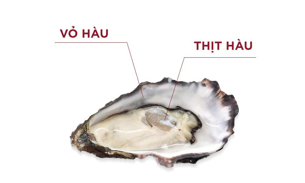 So sanh cong dung Vo hau va thit hau giup cai thien sinh ly nam gioi