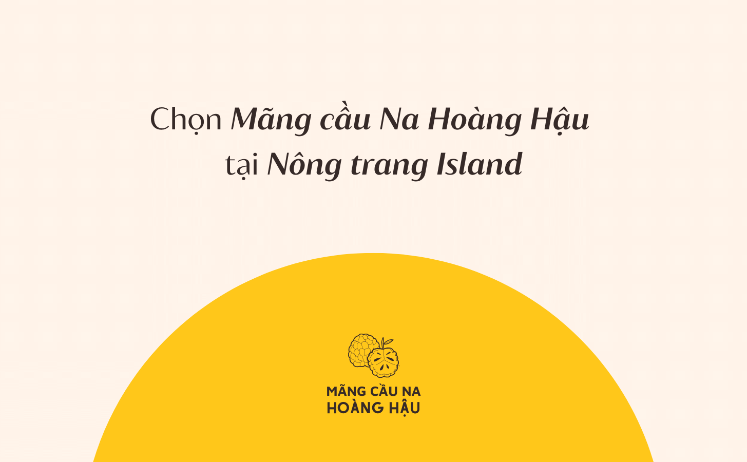 Mãng Cầu Na Hoàng Hậu Mang Cau Na Hoang Hau Nong Trang Island 9 02d891d5 Fc1b 4463 873b 97f2e776a14d