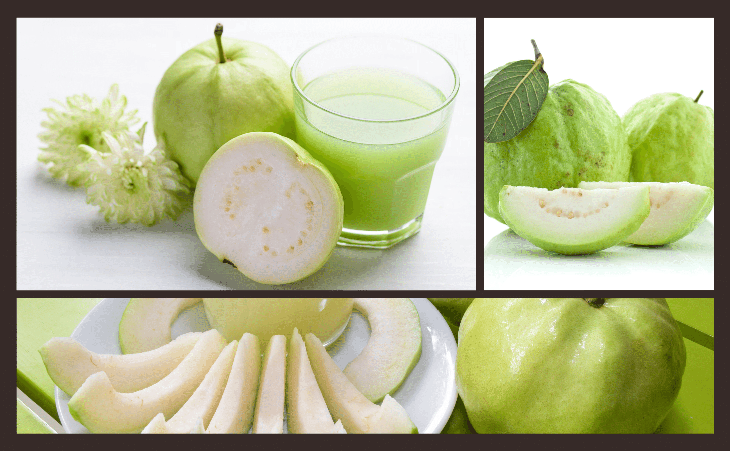 Ổi Nữ Hoàng Oi Nu Hoang Nong Trang Island 10