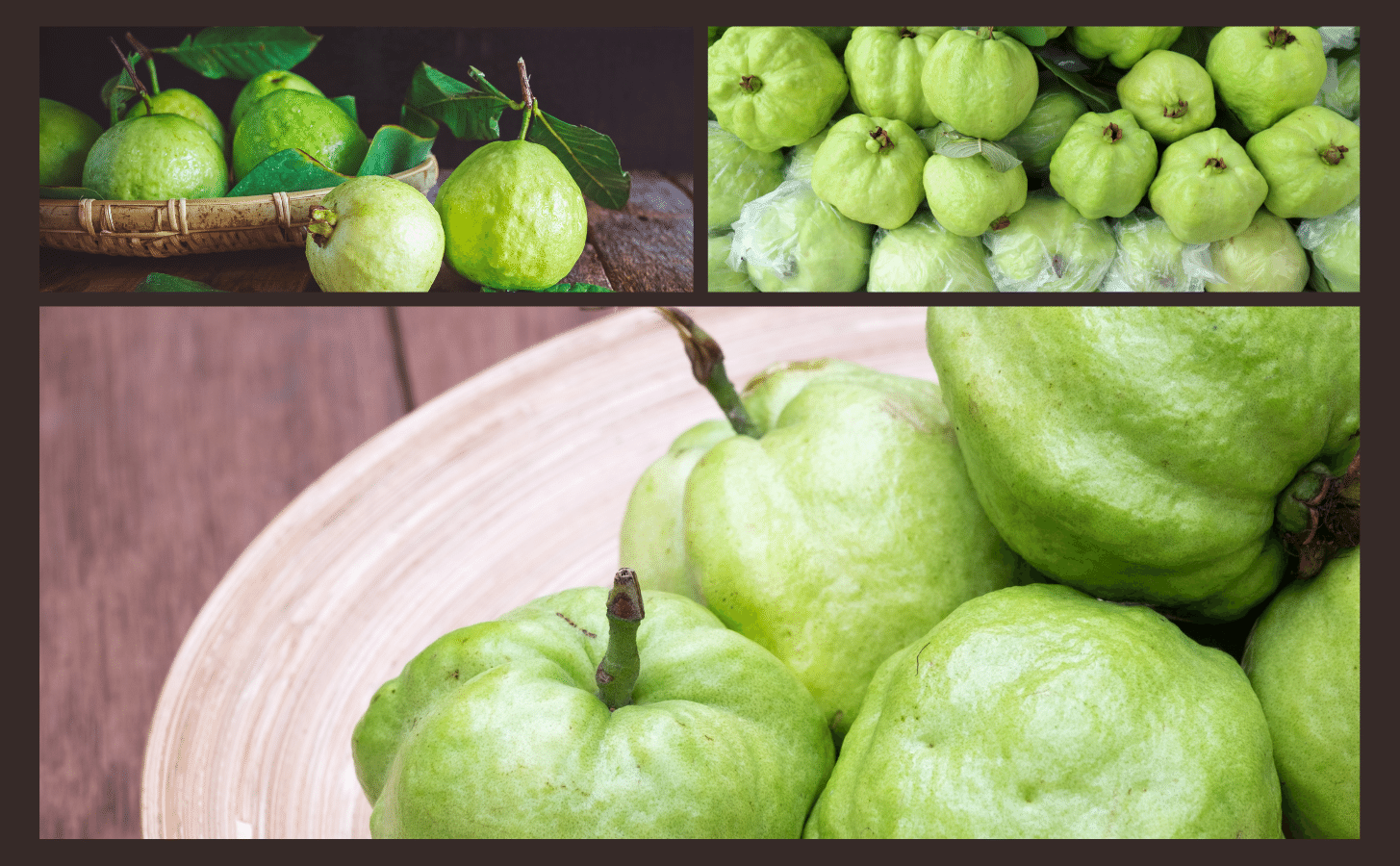 Ổi Nữ Hoàng Oi Nu Hoang Nong Trang Island 9