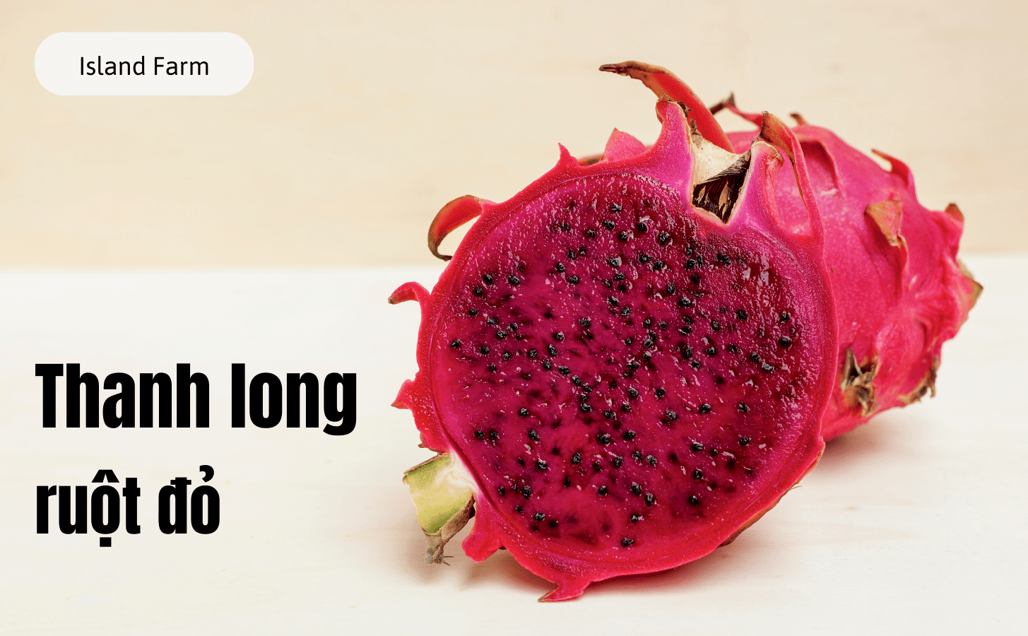 Thanh Long Ruột Đỏ Thanh Long Ruot Do Nong Trang Island 1