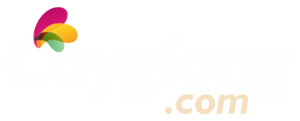 Caygiong.com