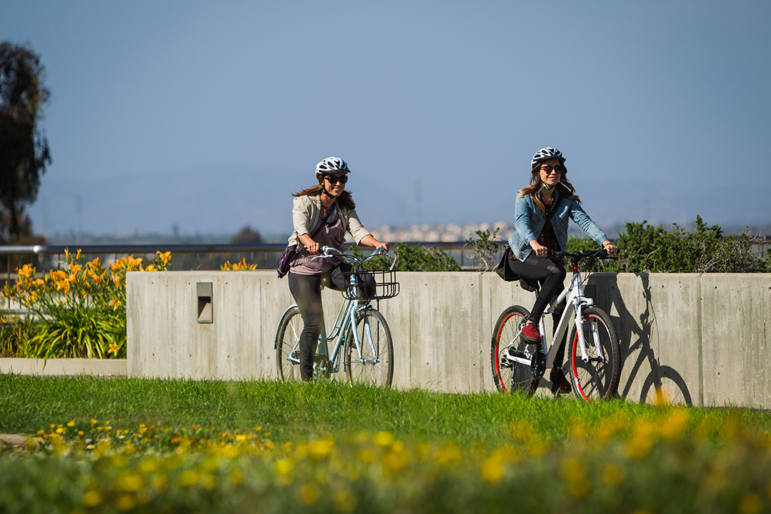 Cách chọn xe đạp thể thao phù hợp với học sinh, sinh viên