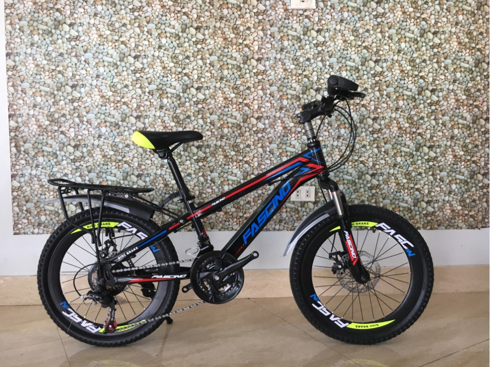 Các mẫu xe đạp Fascino giá dưới 3 triệu bán chạy nhất năm 2018