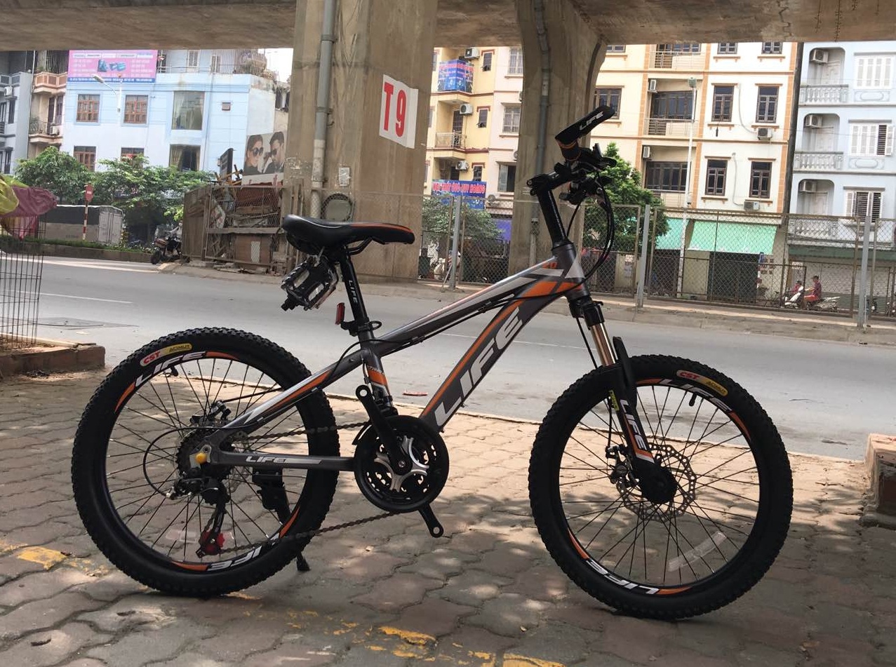 Xe đạp thể thao trẻ em Life L20.2
