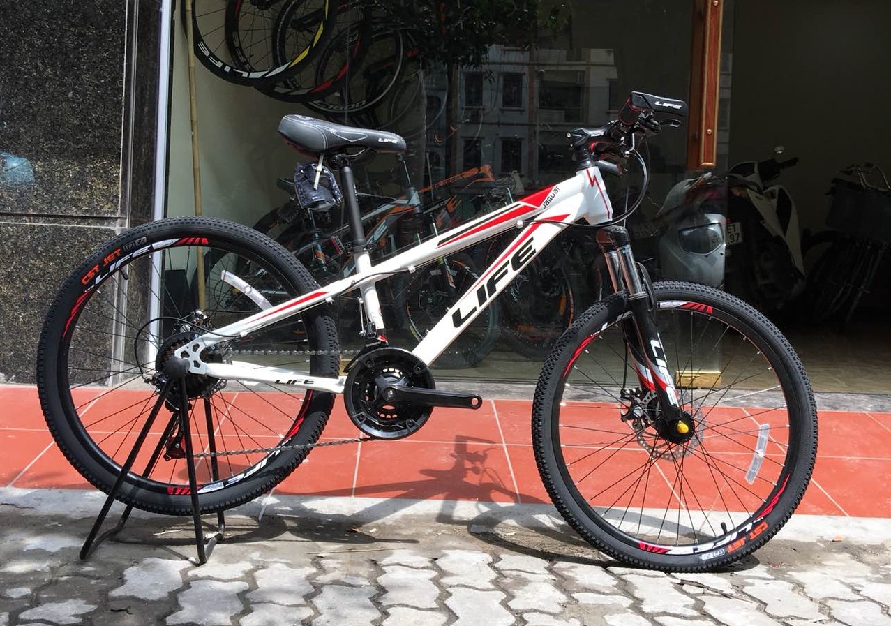 Xe đạp học sinh giá rẻ uy tín, chất lượng đảm bảo tại Hà Nội