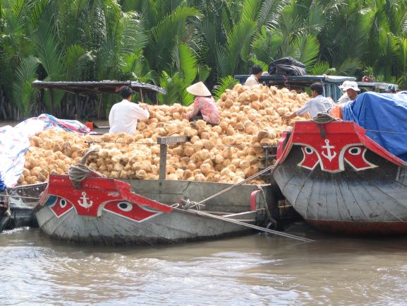 The Mekong