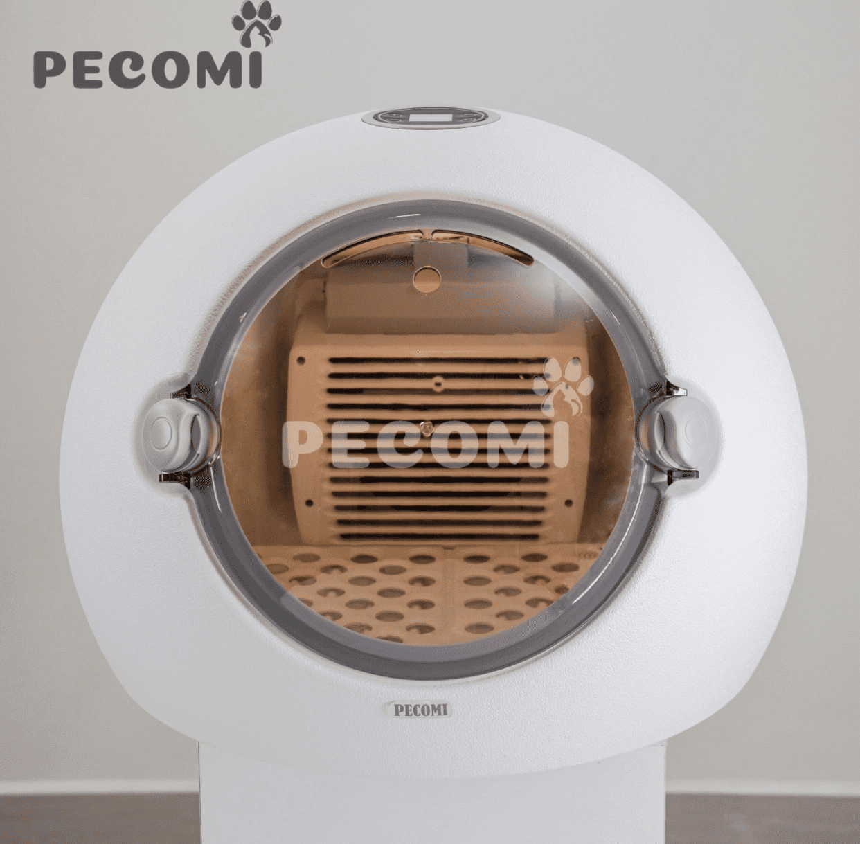 long-say-cho-meo-papifeed