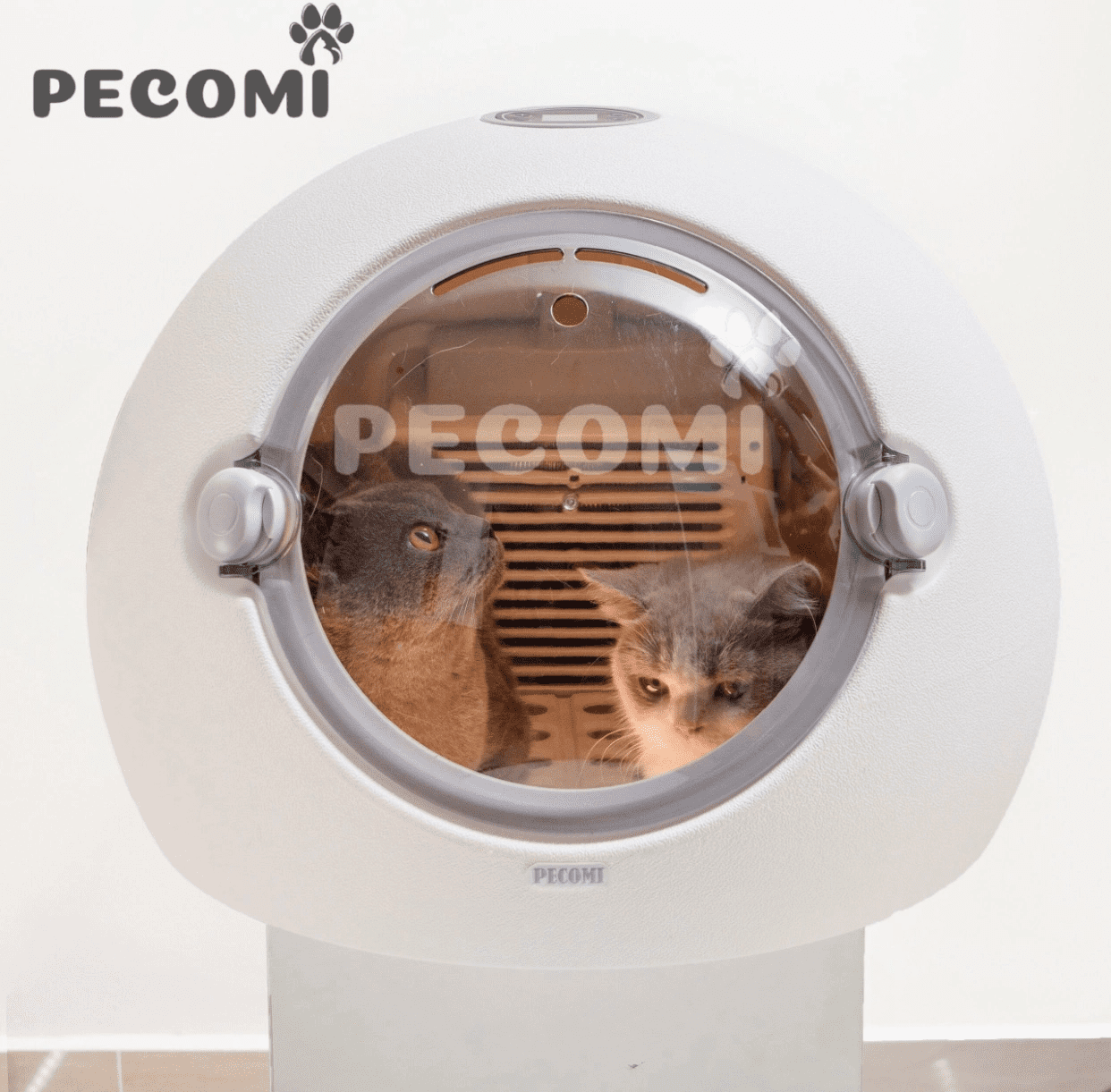 long-say-cho-meo-pecomi