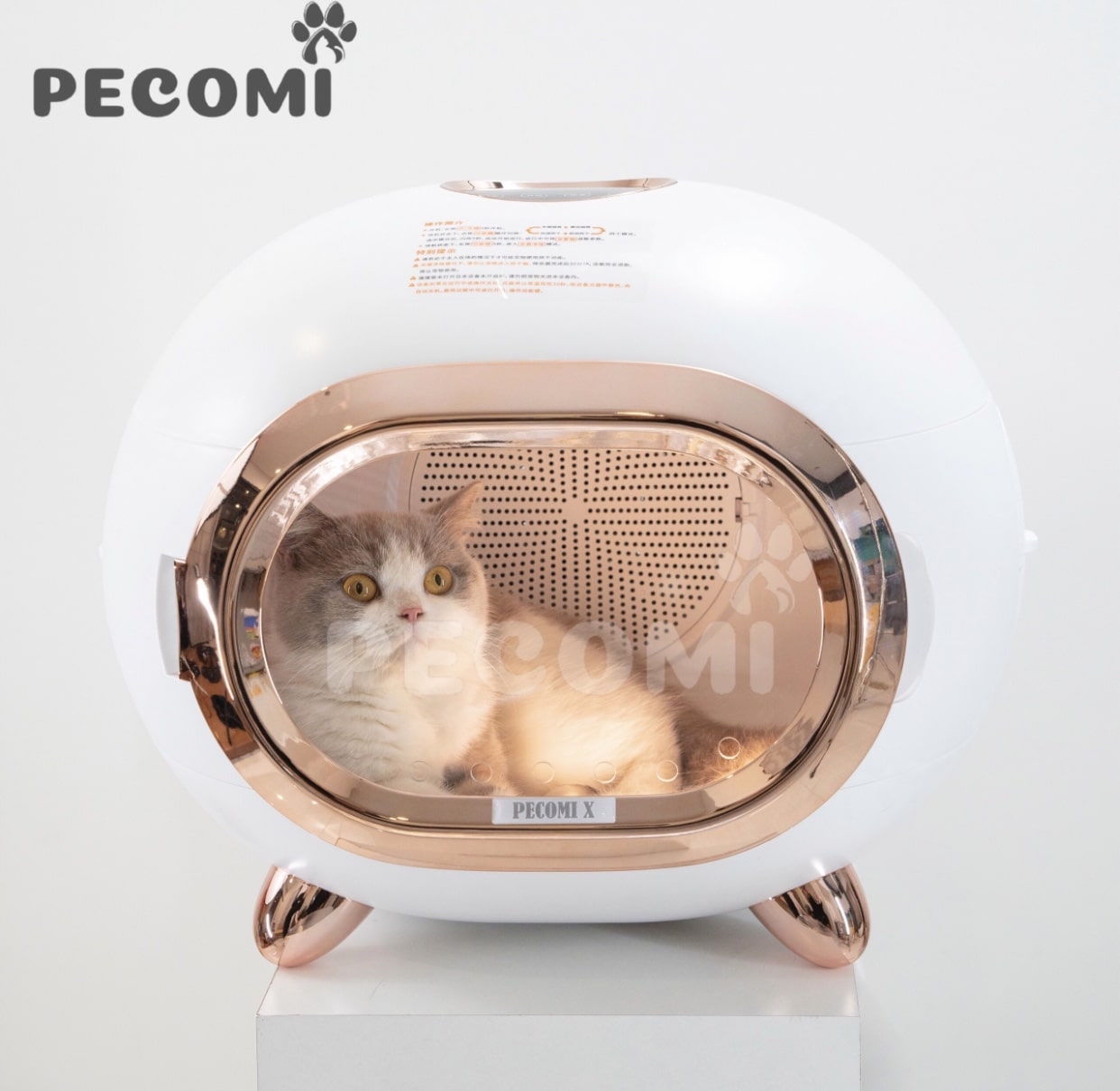 long-say-cho-meo-pecomi-x