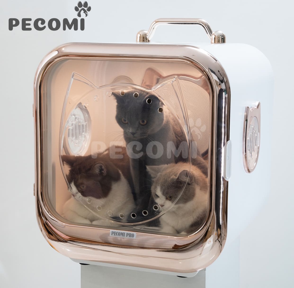 long-say-thu-cung-pecomi-pro-1