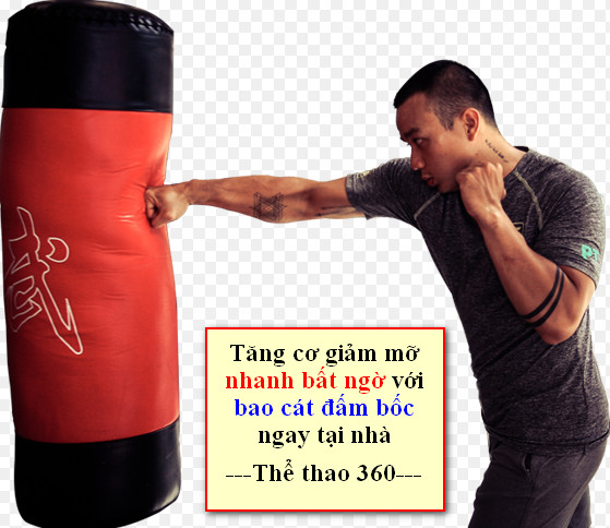 Bao  cát võ thuật