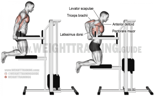 assisted triceps dip