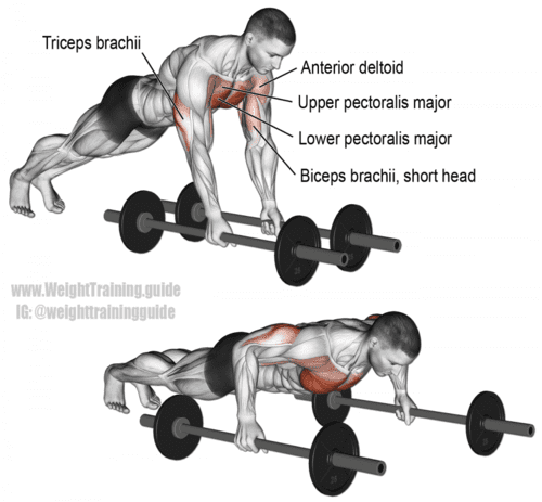 bodyweight barbell floor fly