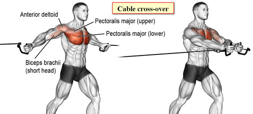 Cable cross-over