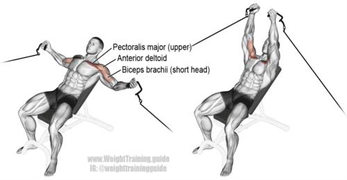 Cable Incline Fly