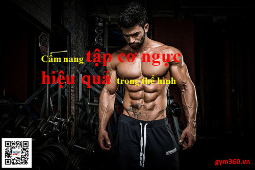 tập cơ ngực hiệu quả 