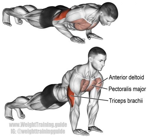 close grip push up