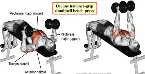 Decline hammer-grip dumbbell bench press