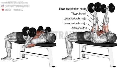 Hammer Grip Dumbbell Bench Press