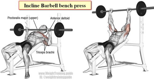 incline barbell bench press