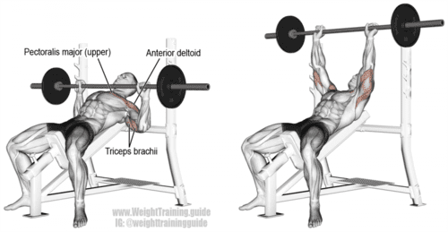 incline barbell bench press