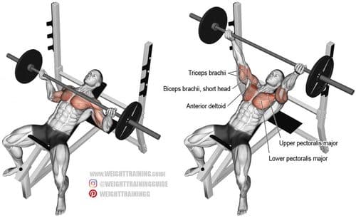 Incline Reverse Grip Barbell Bench Press