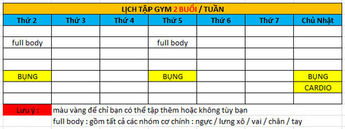 lịch tập gym 2 buổi 1 tuần ( dạng 2 )