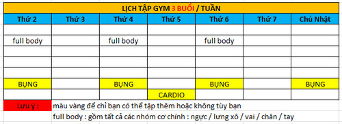 lịch tập gym 3 buổi 1 tuần ( dạng 2 )