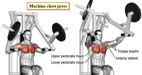 Machine chest press