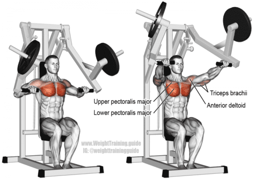 machine chest press