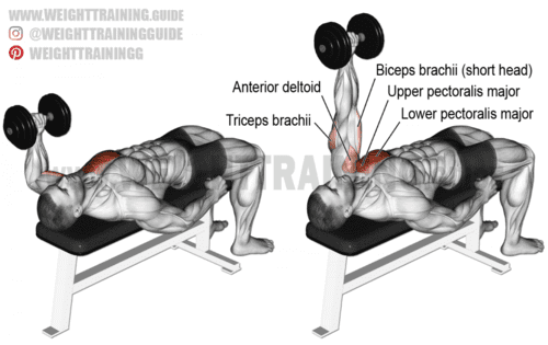 One arm hammer grip dumbbell bench press