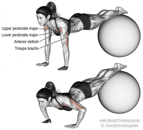 stability ball decline push up